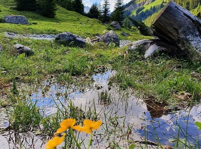 Апартаменты Bichlhof