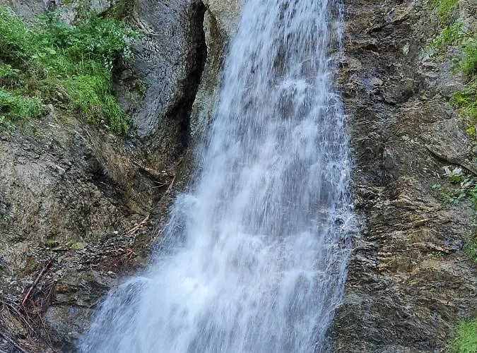 Bichlhof Апартаменты *