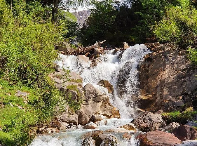 Bichlhof Апартаменты *