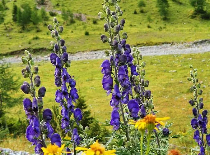 Апартаменты Bichlhof *