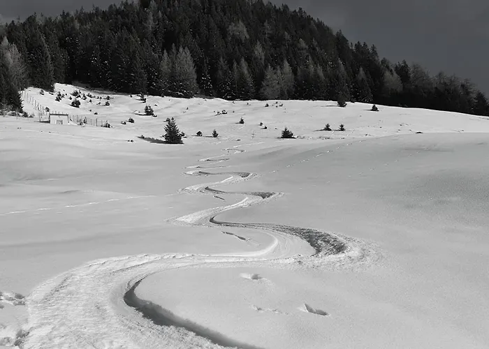 Bichlhof Апартаменты *